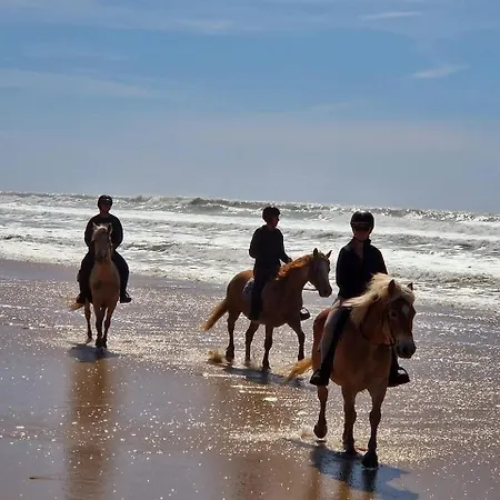 Bed and Breakfast Au Coeur Du Ranch: D'hotes Dans Le Medoc 3*